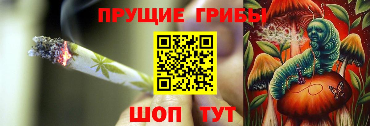 Касимов  Галлюциногенные грибы Psilocybine cubensis  Вход с VPN 